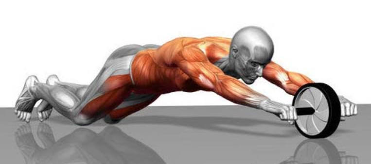 How To Use an Ab Roller For Your Lats