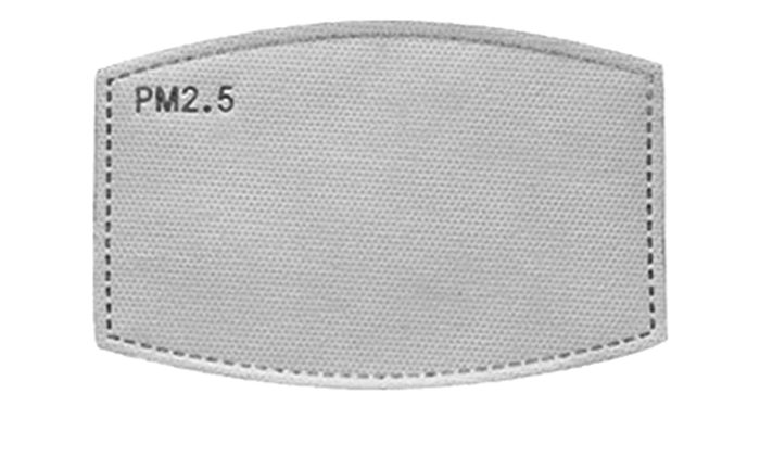 Pm 2.5 filter